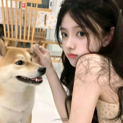 托托的色彩美学观